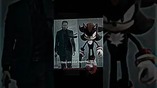 John Wick & Shadow The Hedgehog||Edit|Don't stop|#edit #alightmotion #shadow #johnwick #shorts #fyp