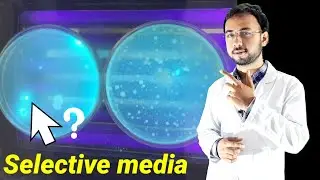 Selective media microbiology | EMB agar test | culture media microbiology | pseudomonas aeruginosa