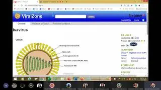 Base de datos viralzone