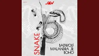 Snake Rave Mix