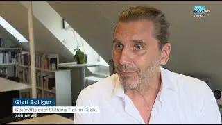 Tele Z&uuml;ri News vom 20.8.2025 mit Gieri Bolliger