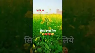 song | love status | status | shorts video | love song love feeling | #trending #viral #viralshorts