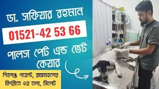 Pulse pet & vet care Sylhet , Dr. sofier, II Pet animal  II Emergency Veterinary service 01521425366