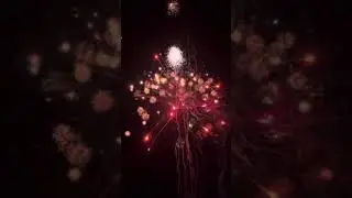 HAPPY NEW YEAR!!!
