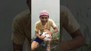 Water balloon challenge 👍👍  #balloon #funny #relaxing #toys #shorts