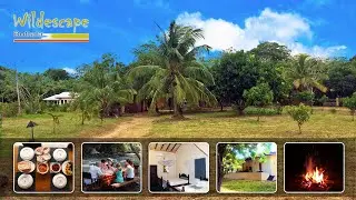 Wild Escape | Sri Lanka