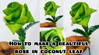 How to Make a beautiful rose in coconut leaf 🍀🌿madebyradharani #youtubevideo #craft #madebyradharani