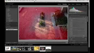 10 adjustment brush dodge burn