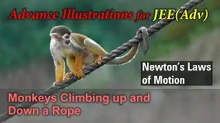 Adv Illustrations &ndash; Monkeys Climbing up and Down a Rope | Newton's Laws of Motion #54 for JEE Adv