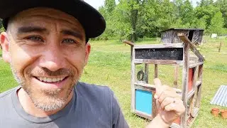 Most UNDERRATED Structure on Your Small Homestead