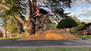 Upping the Manual Game / Old Dog - New Tricks