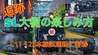 【長尺】C11 123本線試運転を追跡【SL大樹】