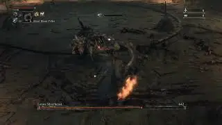 [Tryhard Level 4] Bloodborne: Loran Silverbeast (Rotted Ailing Loran Root 02) - No Damage