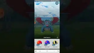 WILD SALAMANCE