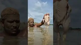 Unbelievable sandman fishing River underwater #fish #viral #fishing
