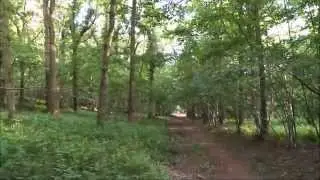 Weekend Wild Camping -Testing the new CVRT Tent  Broadstone 2015