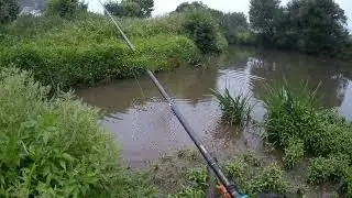 Pesca Barbos 2  Fishing Adventure PT 0🎣
