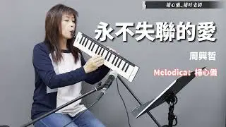 【永不失聯的愛】周興哲 | 楊咩老師 流行口風琴演奏 | Melodica Cover | 台日韓流行歌曲口風琴演奏
