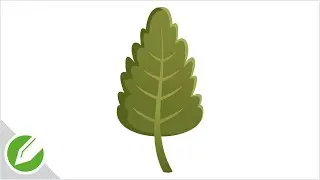 Mulberry Leaf Drawing with CorelDraw | Flat Vector Style | Drawing | CorelDraw Tutorial