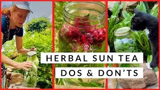 How to Safely Make Herbal Sun Tea