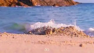 Sarah Goldman - take it slow