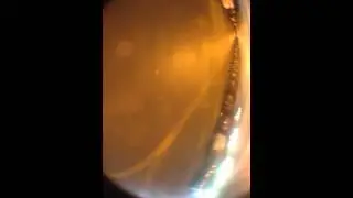 SkateAdventures- Bombing USC parking lot