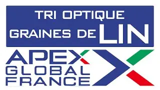 Tri optique graines de lin, machine trieuse de lin