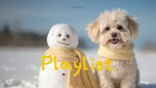 Playlist | 그냥 틀어두기 좋은 플리 🎧 Feel Good Songs &middot; Groove