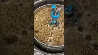 Варка темного осеннего эля &mdash; Brewtools B80 / F80