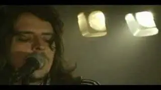 Summerbirds in the Cellar - Wicked World