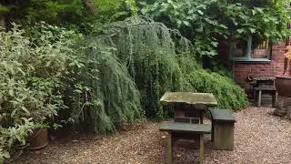 Autumn from A Different Perspective. Taking a look at The Bottle Kiln Japanese Inspired Garden.