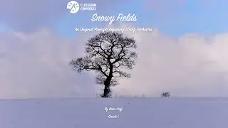 Snowy Fields