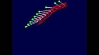 Flapping wing model