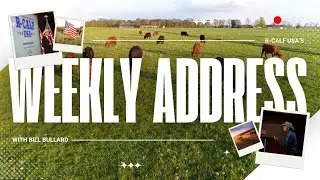 How Global Packers Gained Outsized Influence Over Cattle Policies
