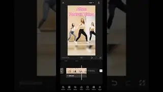 How to Convert Landscape Video to Portrait Mode 