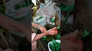 How Wiper Rubber Holders Are Made!