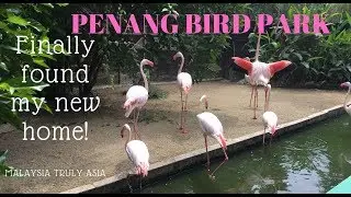Awesome of Penang Bird Park, Malaysia