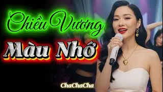 Chiều Vương Màu Nhớ – Ca khúc Chachacha đầy cảm xúc | Tình yêu được kể trong Âm Nhạc – Hit Mới 2025