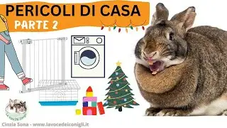 PERICOLI per il CONIGLIO (parte 2)