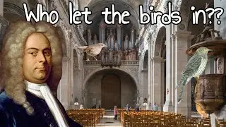 🎵🐦 Can YOU find the Cuckoo & Nightingale in Handel's Organ Concerto No 13 in F?