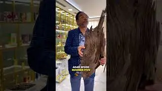 World&rsquo;s Most Expensive Wood Revealed #ExpensiveWood #LuxuryNature #RareMaterials