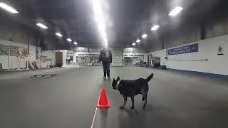 Go out to and send around the cone
