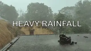 Rainfall: 1 hour of rain sound to fall asleep and reduce stress