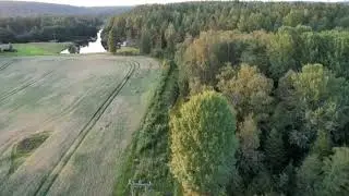 Elgsafari med Drone