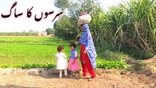 serso ka saag | Hand picked fresh serso ka saag | Ayesha village life
