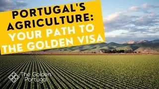 Golden Visa: Why Invest in Portugal&rsquo;s Agriculture?