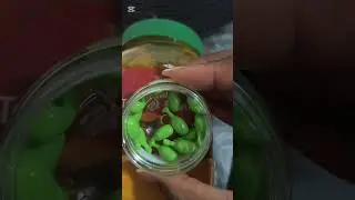 Apprendre à faire votre propre savon pour embellir votre peau. 