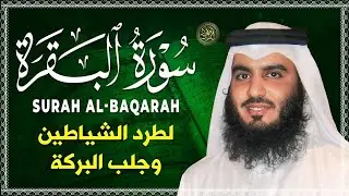 سورة البقرة الشيخ أحمد العجمي القران الكريم مباشر Surat Al-Baqarah Quran Recitation