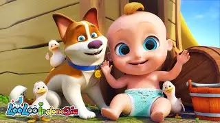 🌟 Suara Hewan Lucu & Lagu Anak Terbaik - LooLoo Kids Indonesia 4K 🎶🐵