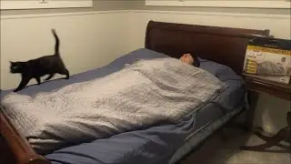 Review of Pendleton Weighted Blanket from Costco Item 1342871 and 1343472 1343475 1343478